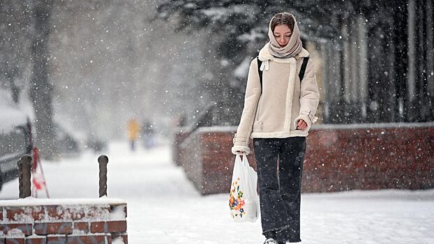 Синоптик рассказал, когда на Москву обрушится обильный снегопад