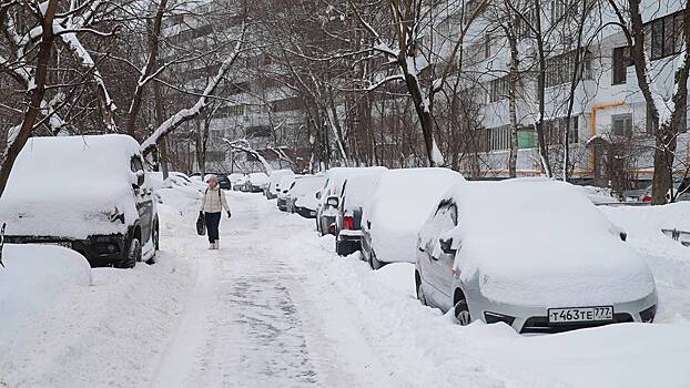 Синоптики сообщили о теплой и снежной погоде в Москве 23 января