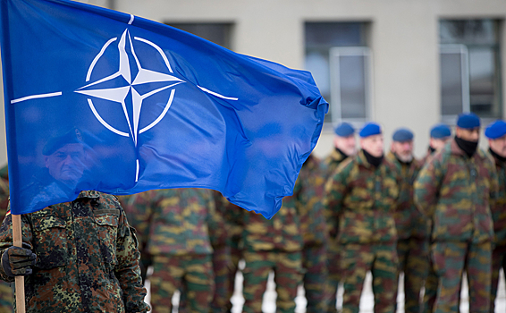 СМИ: Германия и США намеренно тормозят процесс вступления Украины в НАТО