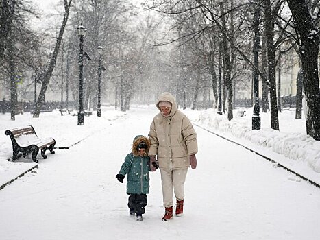 Снегопад продлится в Москве до утра 24 января