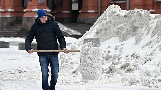 Снежный покров в Москве во время снегопада вырос на 8 см