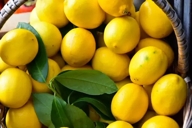 Средство для похудения и укрепления иммунитета: полезные свойства лимона0