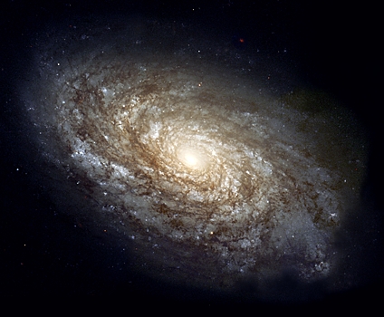 Телескоп Уэбба обнаружил десятки молодых квазаров