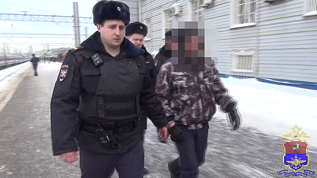 Полиция задержала подозреваемого в убийстве попутчика в электричке Москва – Сергиев Посад