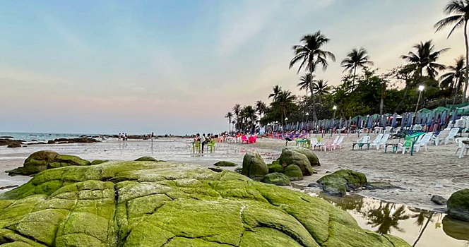Туристы на тайском курорте опасаются купаться из-за светящегося планктона