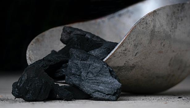 Ученые научились добывать кормовой белок из угля