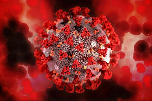 Ученые выяснили способность коронавируса влиять на настроение