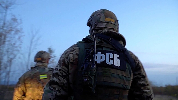 ФСБ пресекла контрабандный канал комплектующих для оружия на Украину