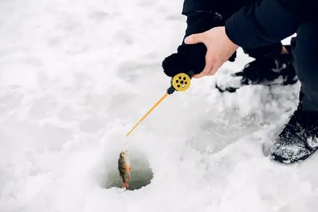 В Тамбовской области пройдет семейный турнир по зимней рыбалке0