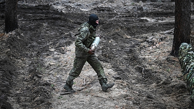 В Австрии заявили о планомерном продвижении российской армии на Украине