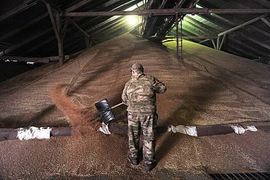 В Европе призвали запретить поставки зерна из России