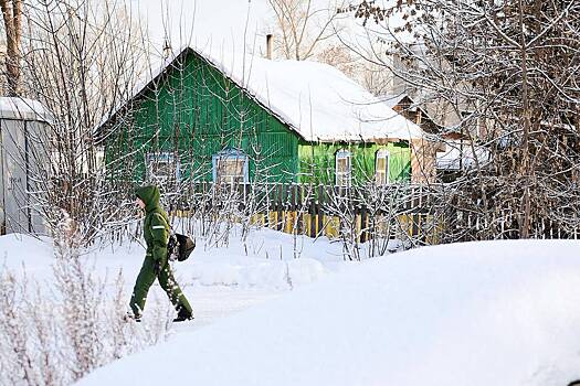 В Госдуме оценили вероятность переезда россиян в села