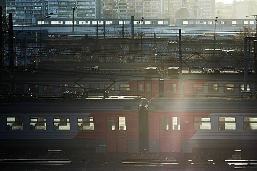 В Госдуме предложили приравнять питомцев в поездах к пассажирам