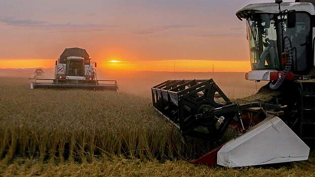 В Латвии призвали запретить импорт и транзит российского зерна
