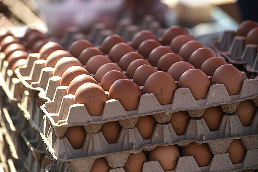 В Минпромторге заявили, что цена на яйца начинается снижаться
