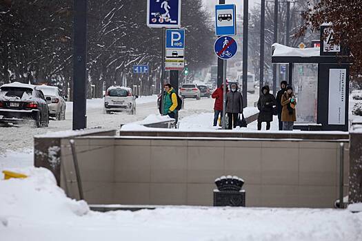 В России водитель высадил ребенка с ДЦП посреди трассы в километре от остановки