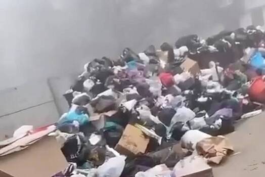 В российском городе начался мусорный апокалипсис