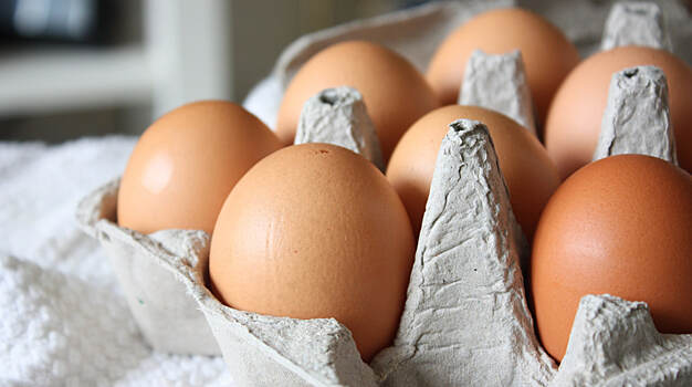 В Росстате рассказали о снижении цен на куриные яйца