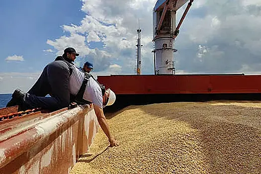 В Турции оценили поиски Украиной замены зерновой сделке
