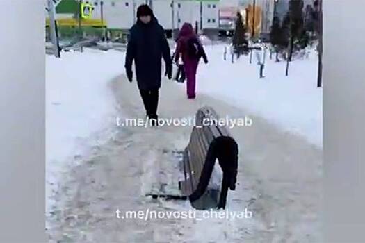 Жители российского города протоптали себе тротуар в снегу по скамейкам