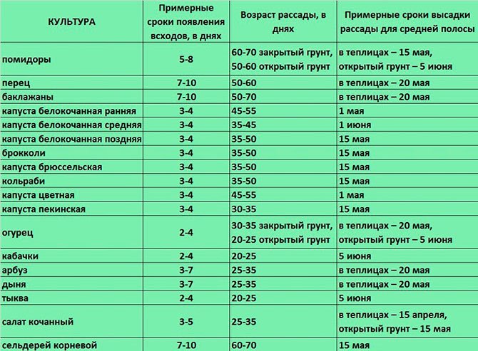 Таблица для определения времени посева овощей на рассаду