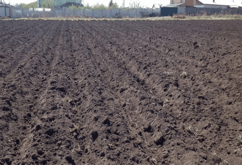 Как подготовить почву под картошку