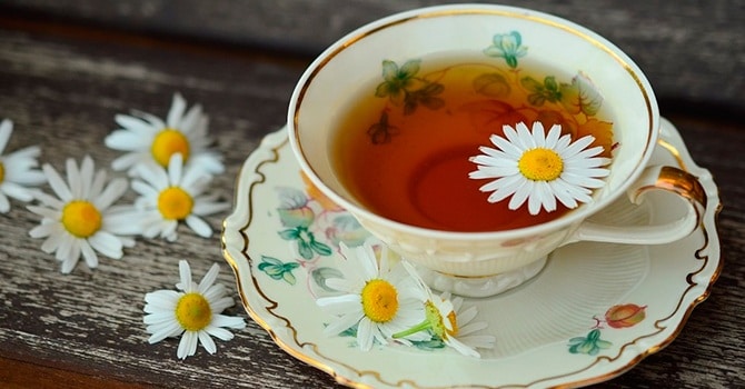 Полезные свойства чая из ромашки для организма человека
