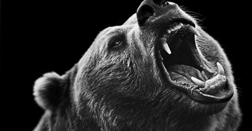 Что такое медвежий тренд понятным языком