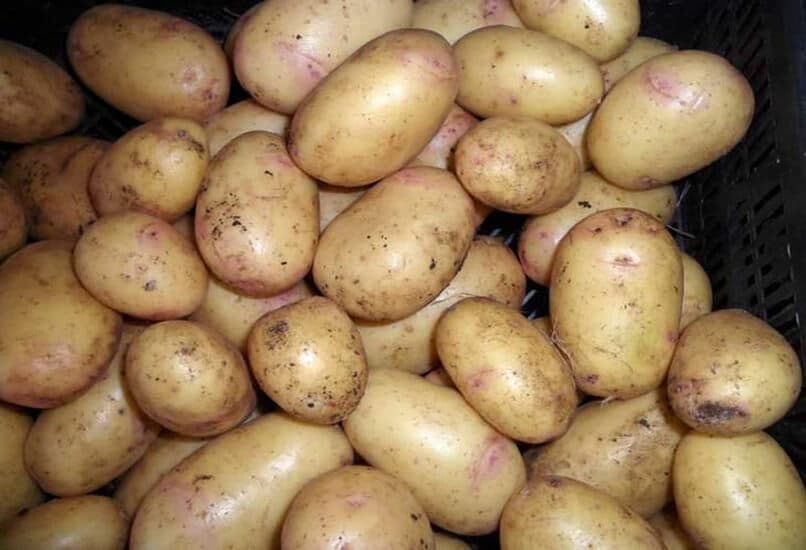 Картофель Накра