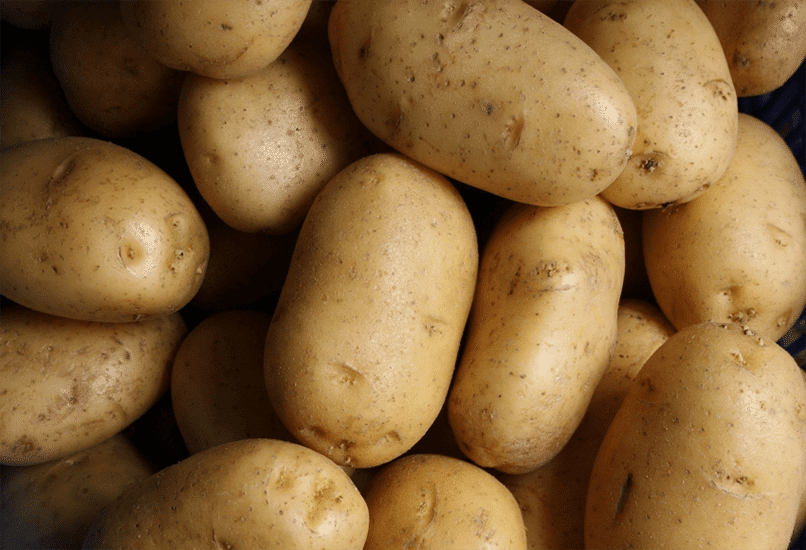 Посадочный картофель для хорошего урожая