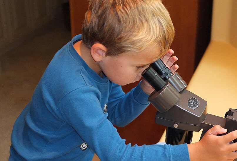 Микроскоп для мальчика 11 лет