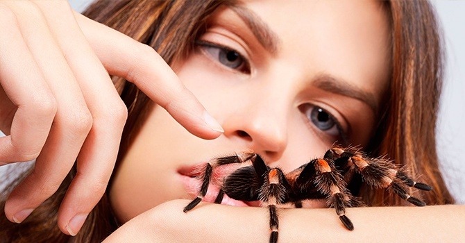 Психотерапевт непременно поможет вам подружиться пауками