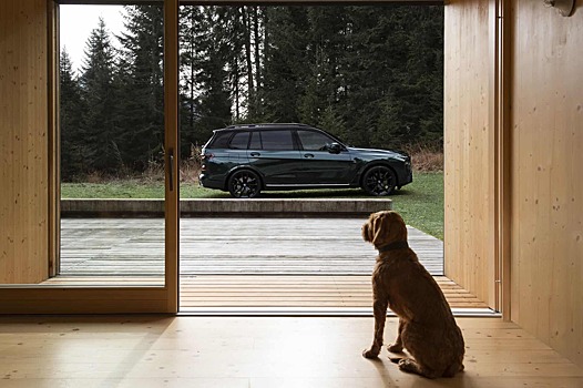 BMW представила новый X7 xDrive40d Poldo Dog Couture Edition для путешествий с питомцами