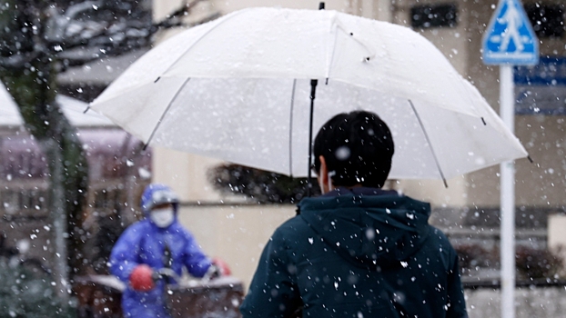 Более 100 человек госпитализировали из-за сильного снегопада в Токио