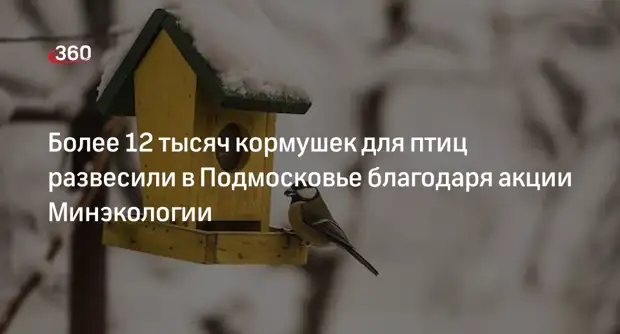 Более 12 тысяч кормушек для птиц развесили в Подмосковье благодаря акции Минэкологии0