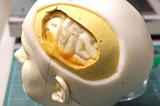 Ученые впервые смогли напечатать на 3D-принтере живой мозг