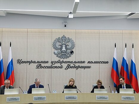 ЦИК может завершить проверку подписей кандидатов в президенты РФ к 7 февраля