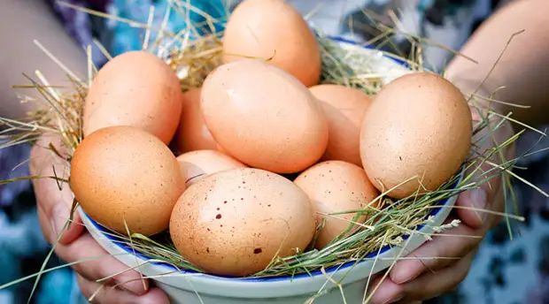 Едим по 3 яйца в день: смотрим результат за месяц5