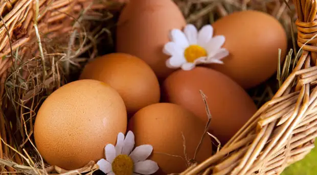 Едим по 3 яйца в день: смотрим результат за месяц6