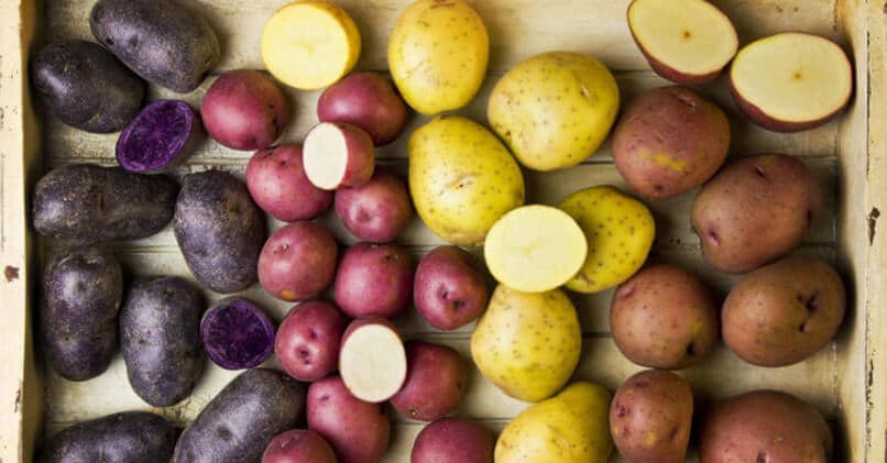 Какой картофель самый вкусный список сортов по алфавиту с фото и описанием
