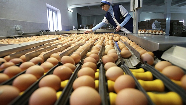 Глава ФАС заявил о тенденции к снижению цен на яйца в России