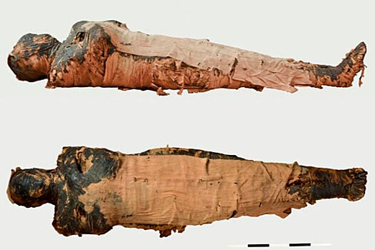 Ученые раскрыли тайну первых мумий в Древнем Египте