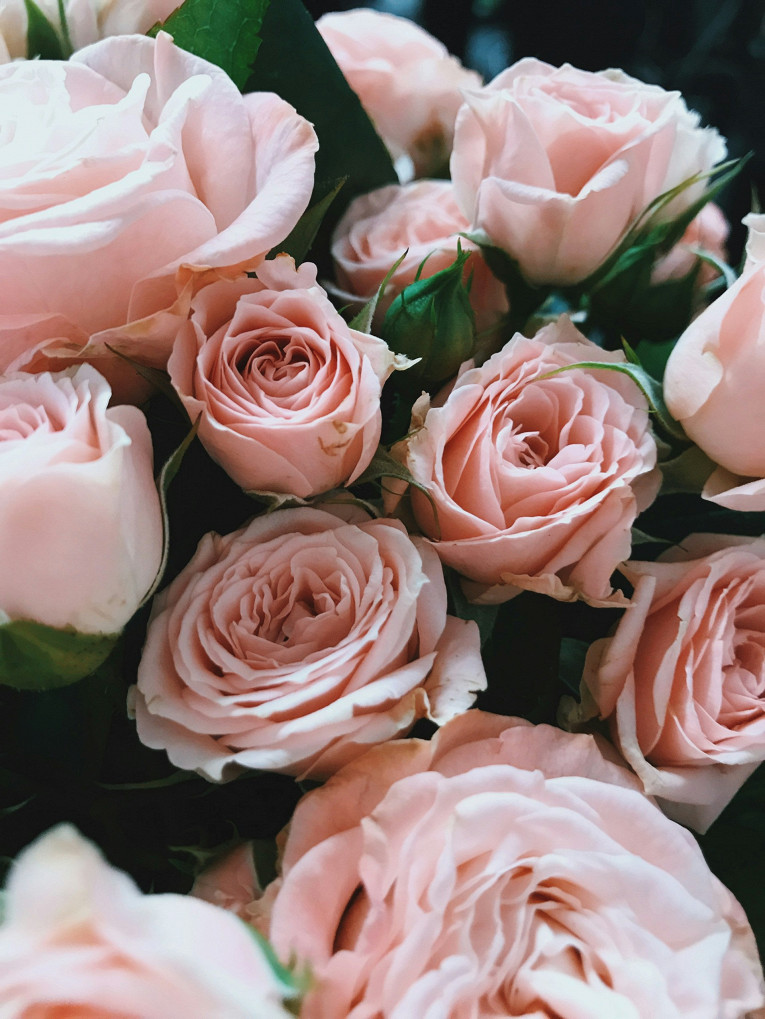 Язык цветов: что подарить на День святого Валентина, чтобы выразить свои чувства6
