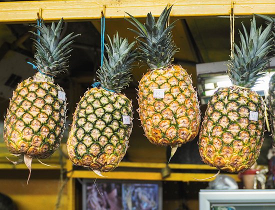 Как вырастить ананас в домашних условиях: как выбрать фрукт для посадки, как ухаживать1