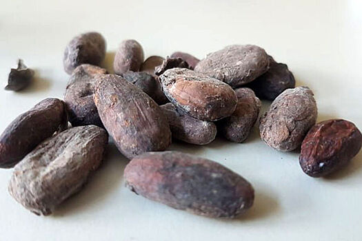 Какао-бобы на бирже обновили рекорд стоимости за 46 лет