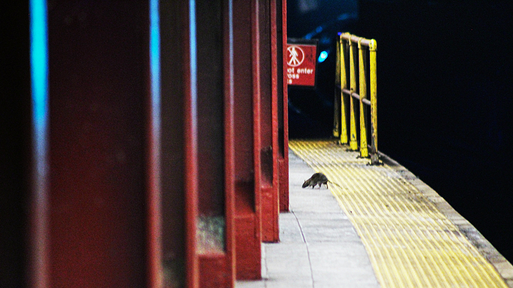 Крыса бродит недалеко от бездомных на одной из станций нью-йорского метро на Манхэттене
