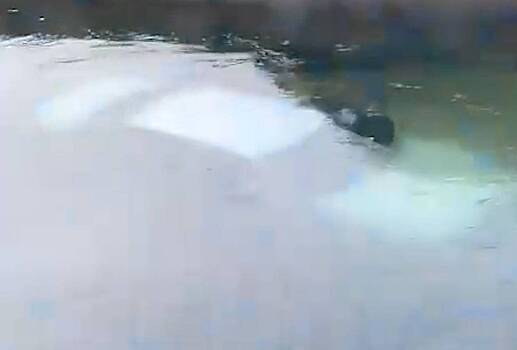 Машина с детьми в Махачкале затонула в канале и попала на видео