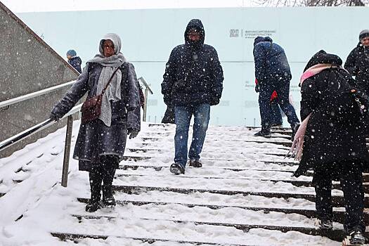 Метеоролог назвал возможный срок схода снега в Москве