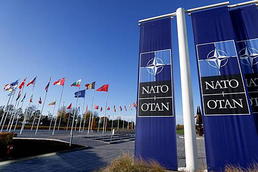 Глава МИД Чехии оценил положение дел в НАТО