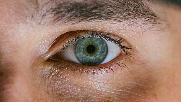 Названы самые полезные для здоровья глаз продукты